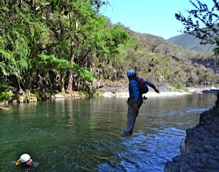 Saltos al agua